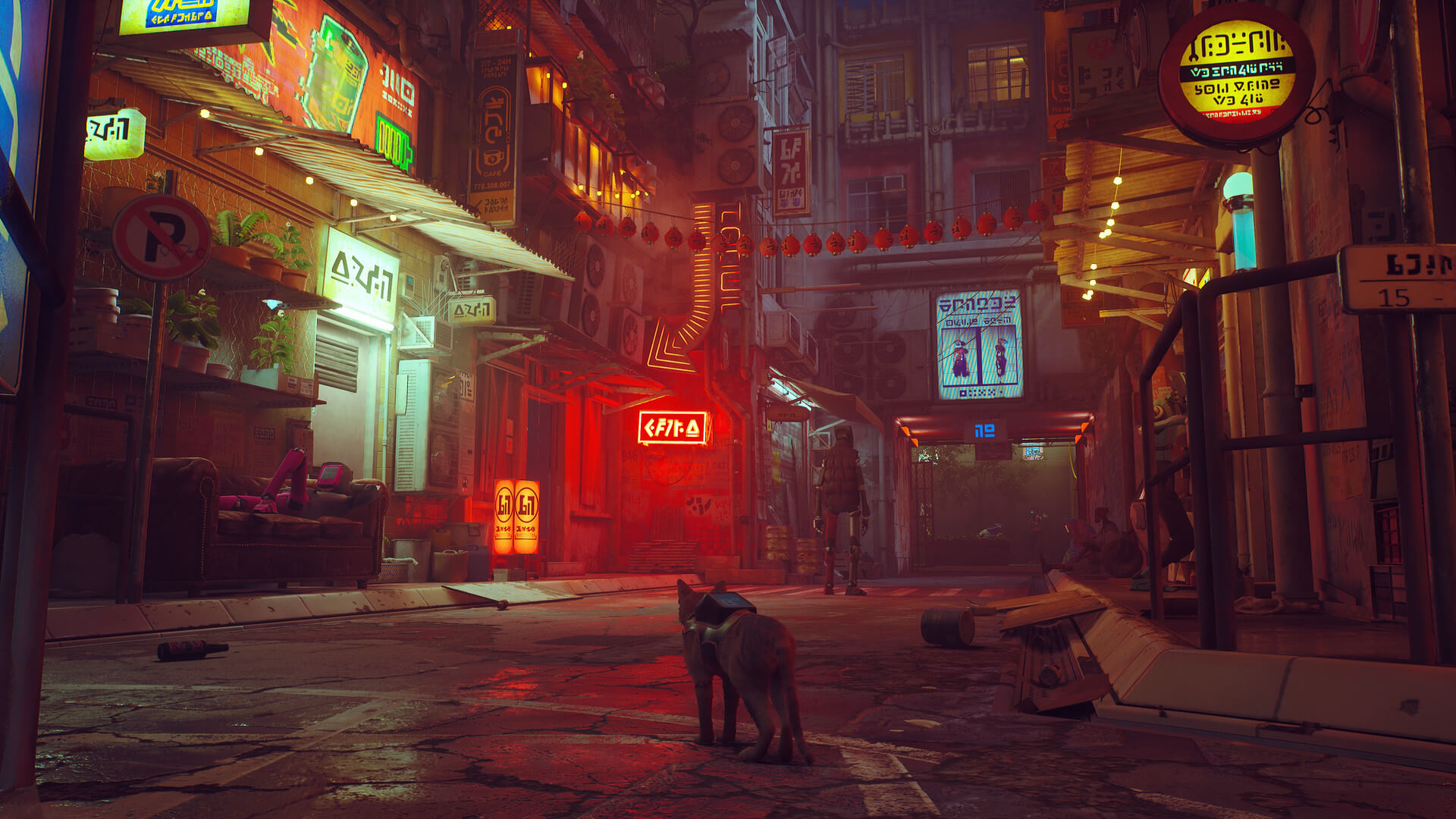 Stray's image