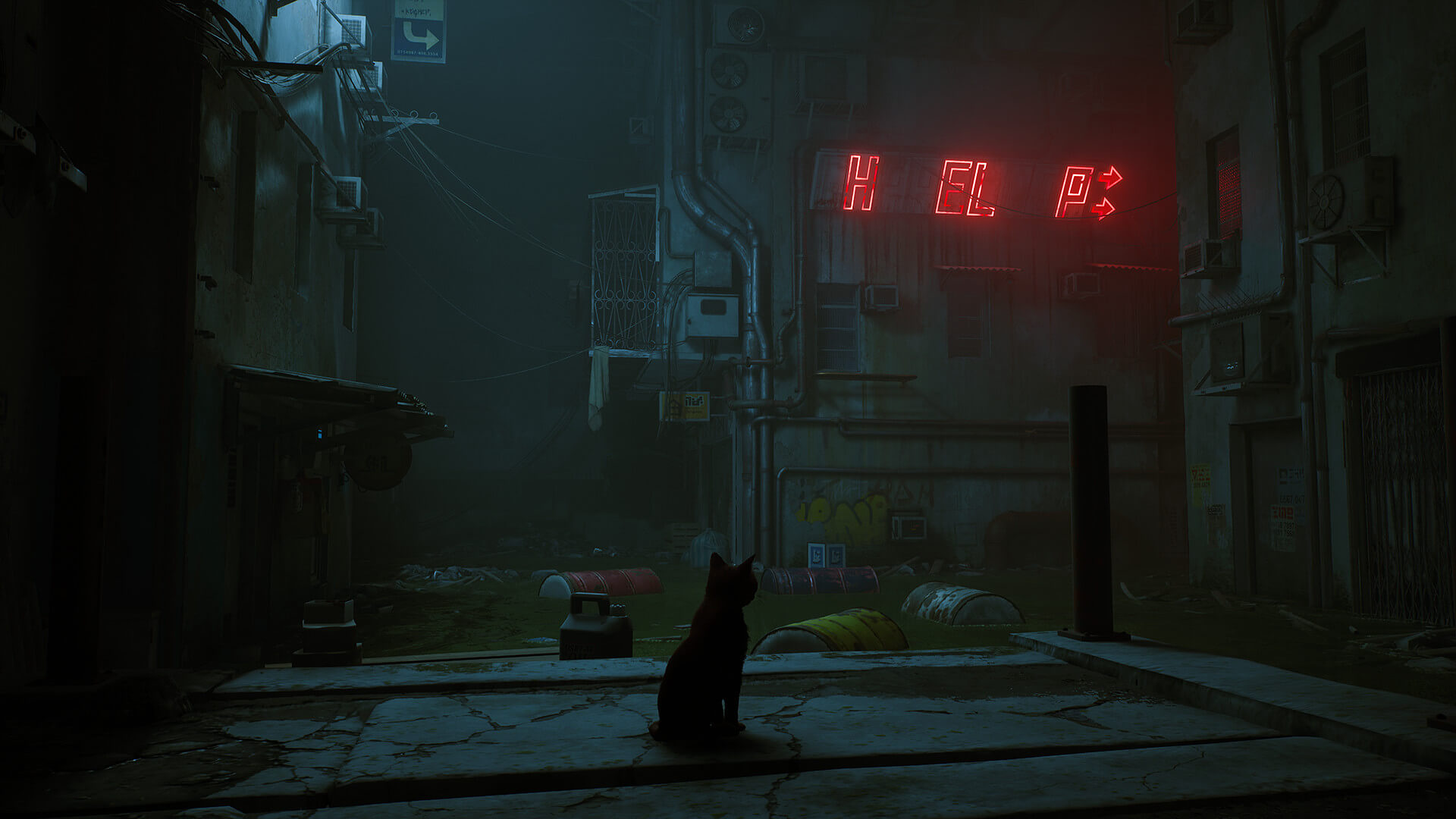 Stray's image