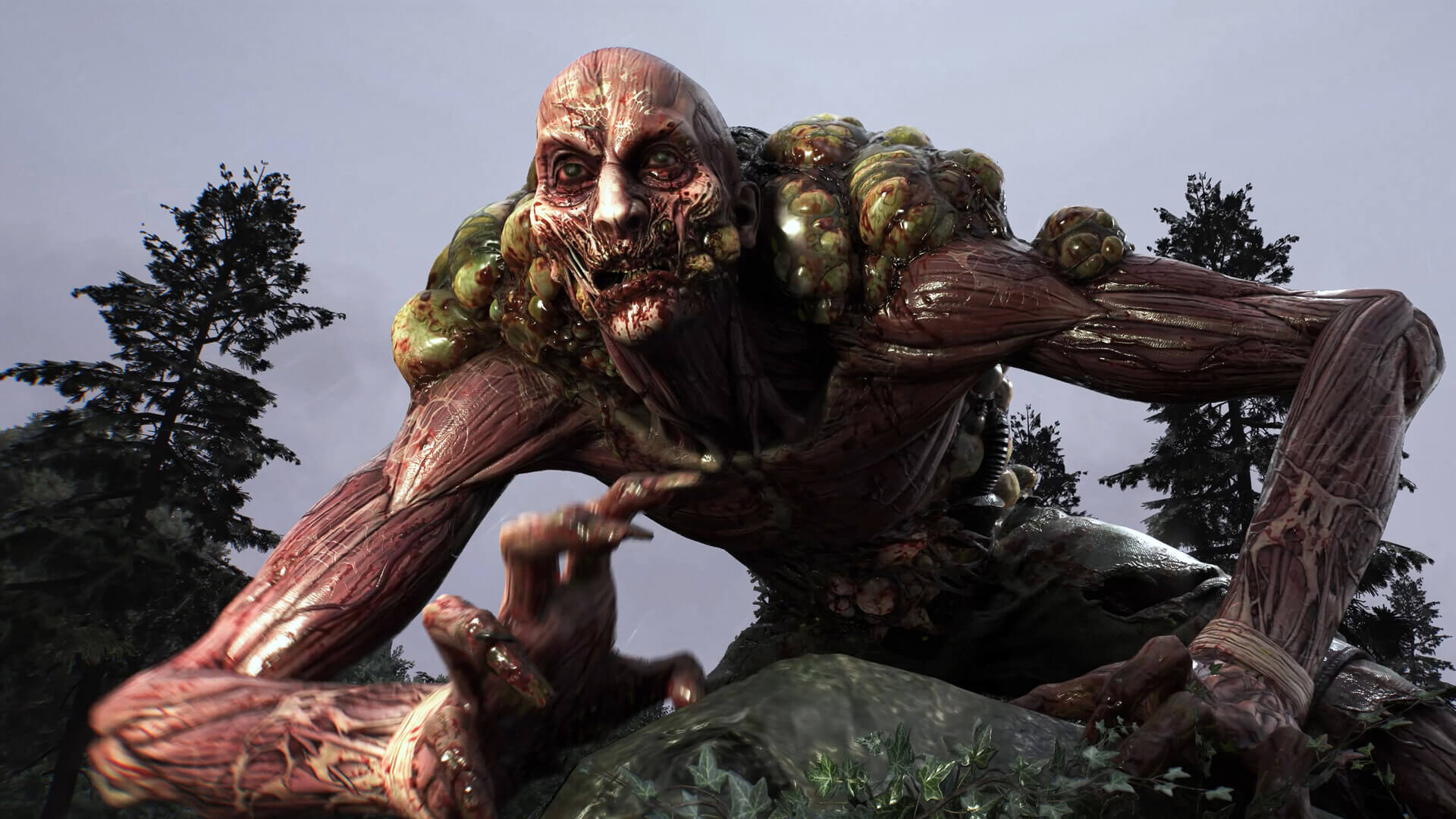 Dying Light: The Beast's image