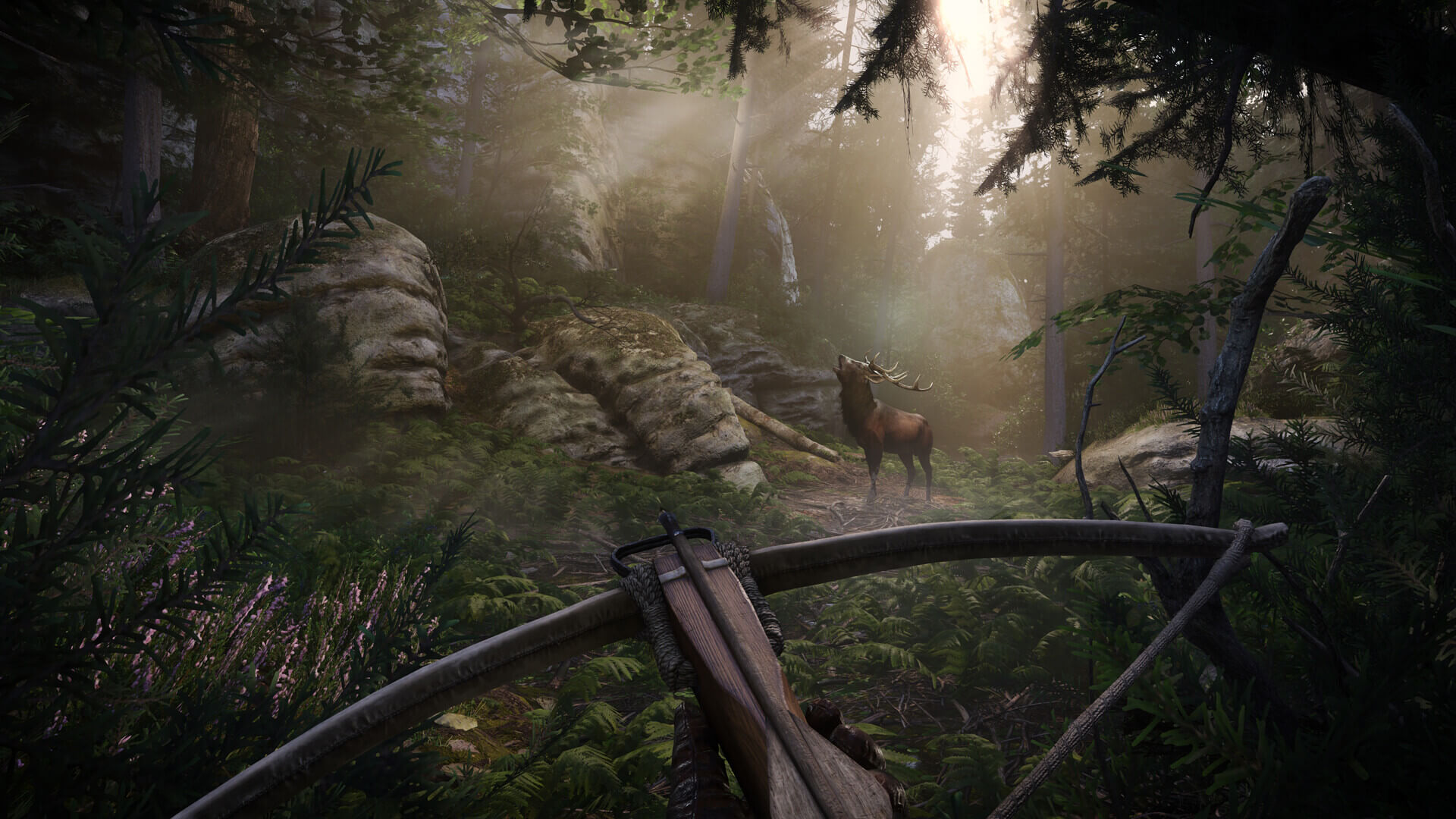Kingdom Come: Deliverance II's image
